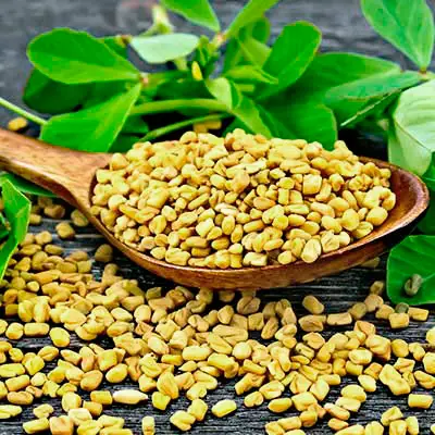 Close-up of fenugreek seeds in a wooden spoon