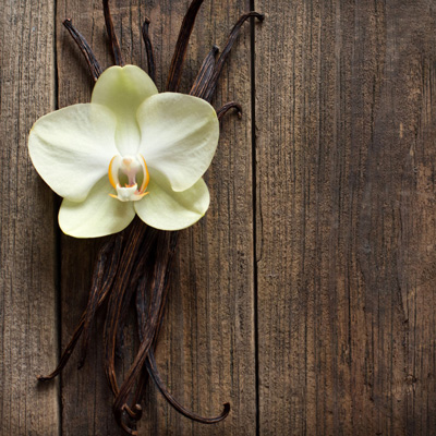 Close-up of vanilla pods alongside a blooming vanilla on a wooden background.