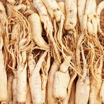 A collection of ginseng roots stacked together, highlighting their unique textures and natural colors.