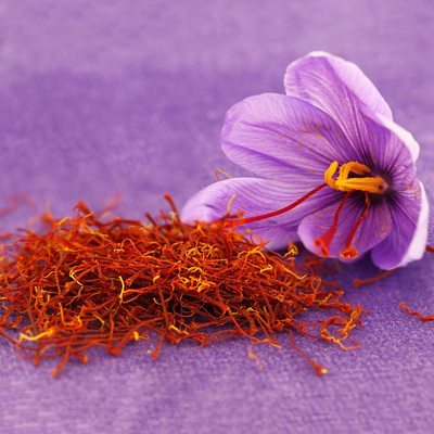 A pile of red SAFFRON threads rests beside a purple saffron crocus flower on a purple surface.