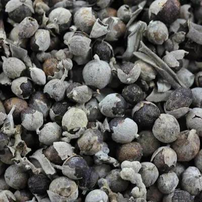 A close-up view of dried vitex seeds, with their spherical shape and rough, mottled surfaces in shades of brown and gray.