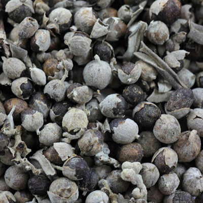 A close-up view of dried vitex seeds, with their spherical shape and rough, mottled surfaces in shades of brown and gray.