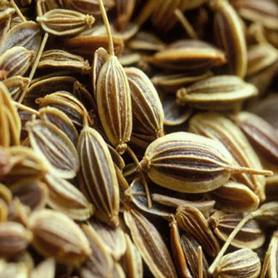 Close-up view of dried ajwain seeds showing their ridged, oval shape and brown color.