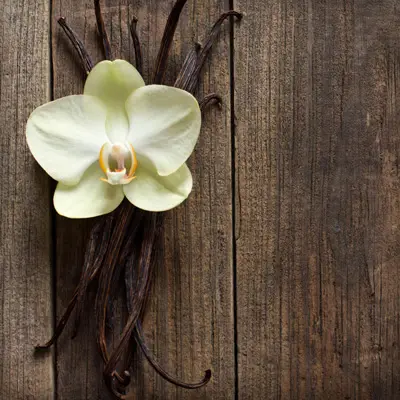 Close-up of vanilla pods alongside a blooming vanilla on a wooden background.