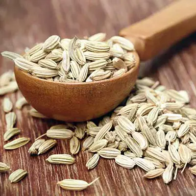 Fennel seeds displayed in a wooden spoon, showcasing their small, elongated shape and light brown color.
